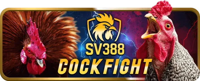 Chiến lược Baccarat tại 333win3 casino